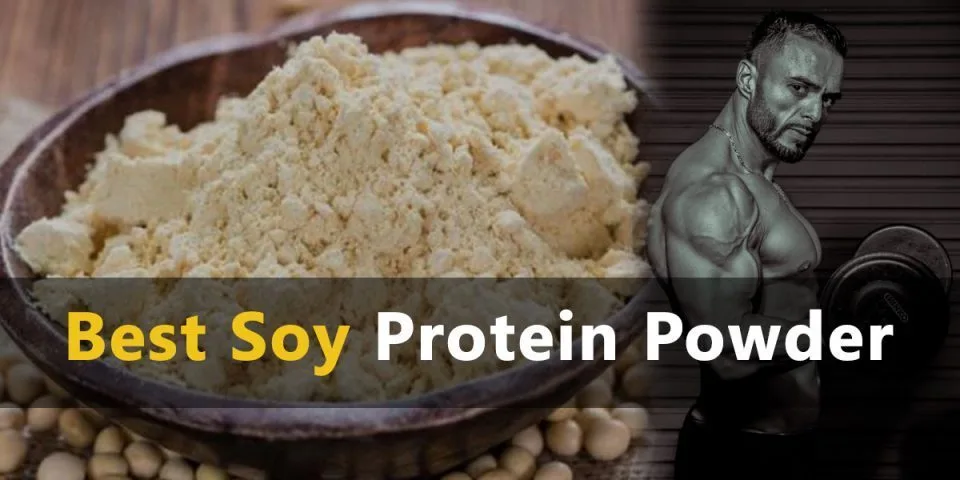 Best Soy Protein-YANGGEBIOTECH.jpg